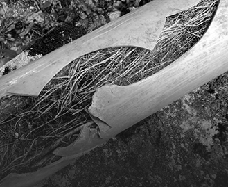 Blocked Drains Richmond